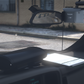 2006 Generic 1500 Police Truck