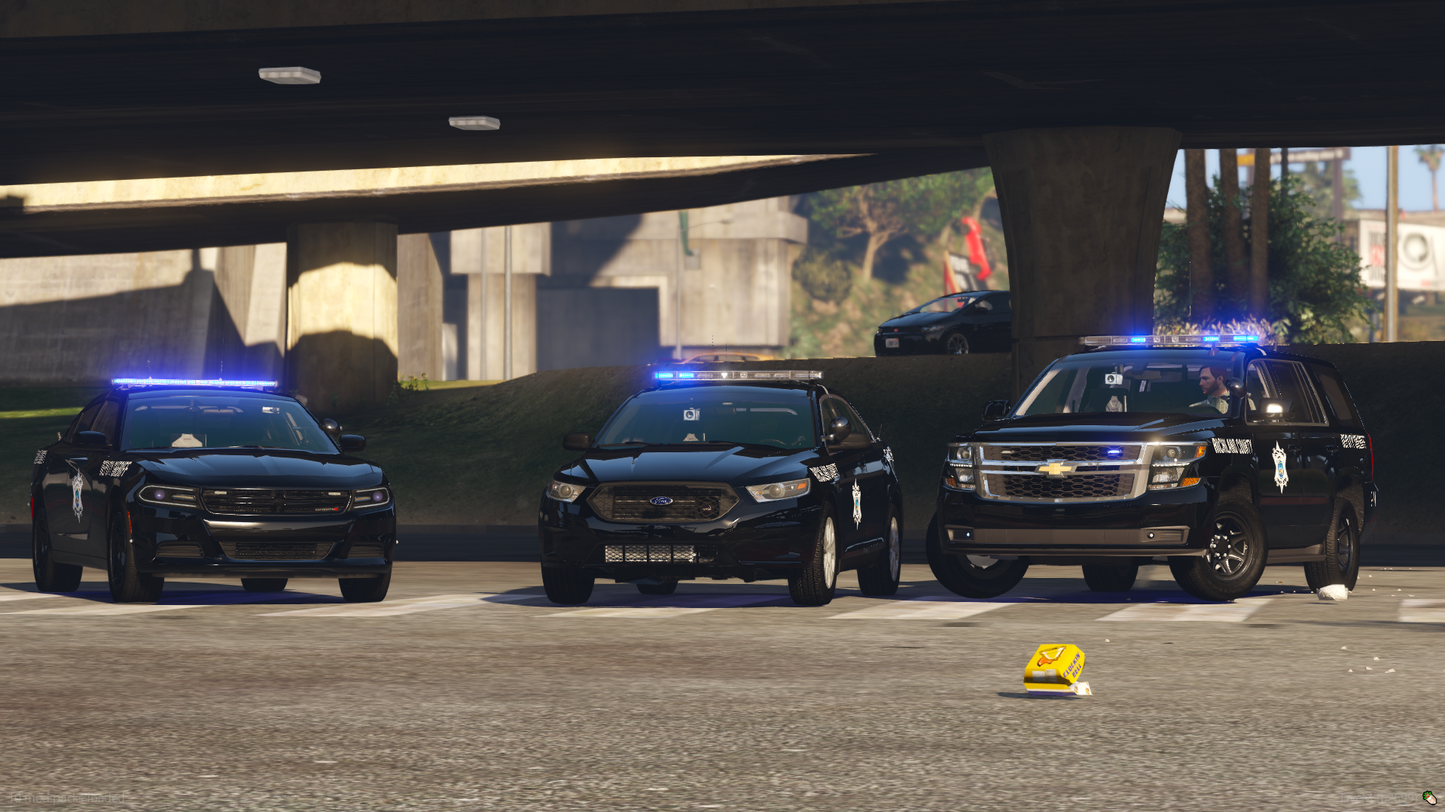 NON-ELS BCSD 2018/2020 Police General SUV PPV