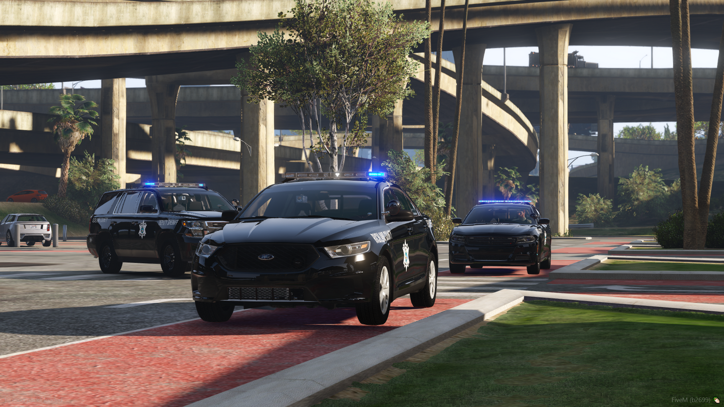 NON-ELS BCSD 2018/2020 Police General SUV PPV